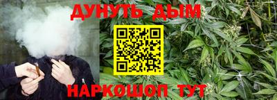 apvp Обнинск
