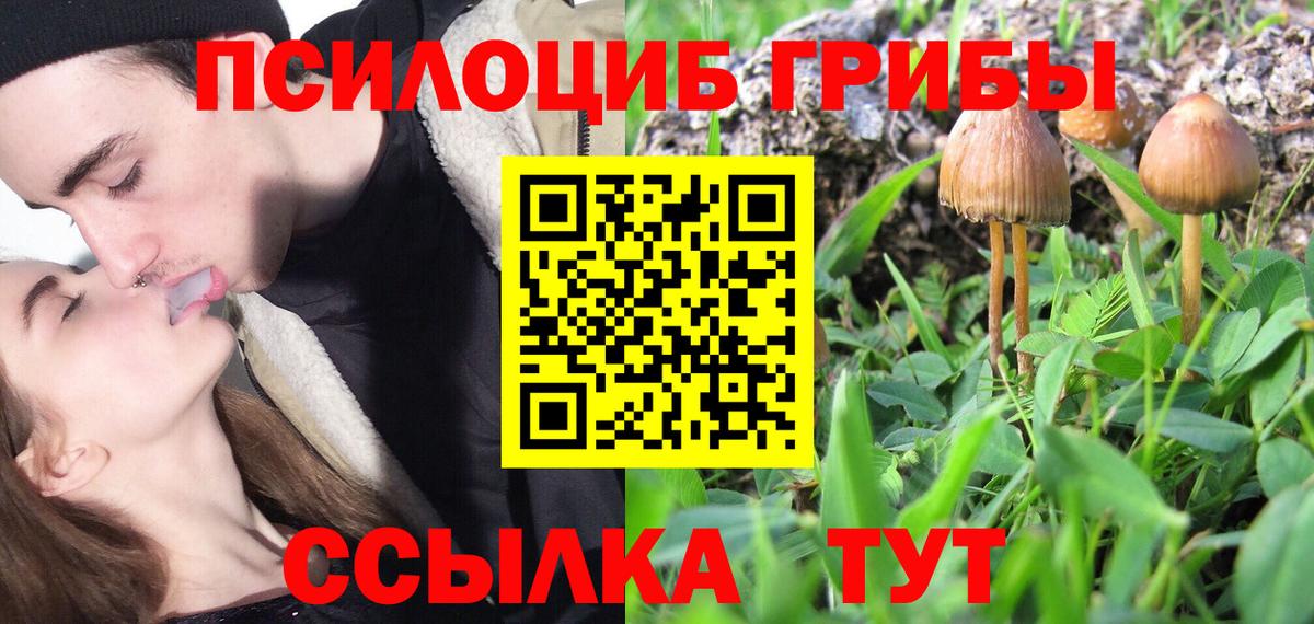 Псилоцибиновые грибы Psilocybe  Вход с VPN  Галлюциногенные грибы Psilocybine cubensis  Тимашёвск 